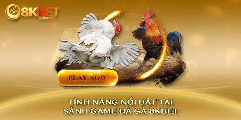 Tính năng nổi bật tại sảnh game đá gà 8KBET